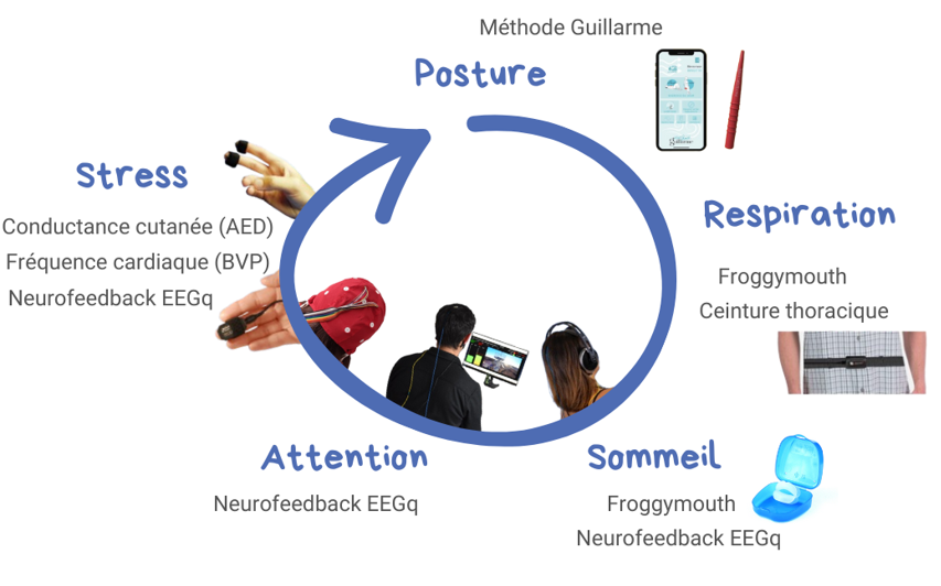 Schéma circulaire des outils utilisés en biofeedback et neurothérapie en fonction des cinq piliers physiologiques du corps humain. Il y a la respiration, la posture, le sommeil, l'attention et le stress. Les techniques sont la méthode guillarme, le froggymouth, la ceinture thoracique, le neurofeedback EEGq, la conductance cutanée (EDA ou AED) et la fréquence cardiaque (BVP).